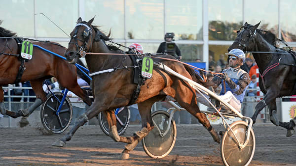 Foto: MALIN ALBINSSON / TR BILD