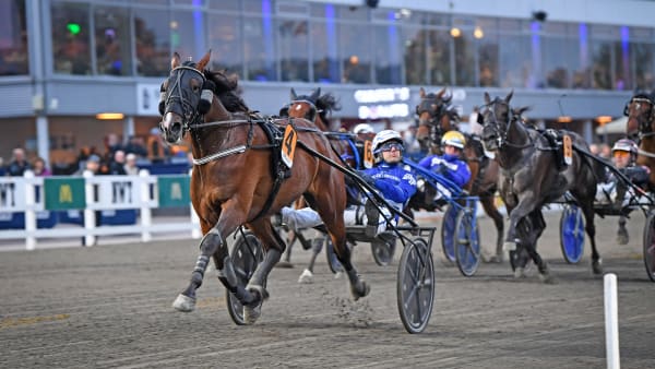 Foto: MALIN ALBINSSON / TR BILD