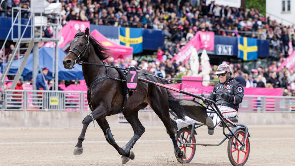 Foto: LENA EMMOTH / TR BILD