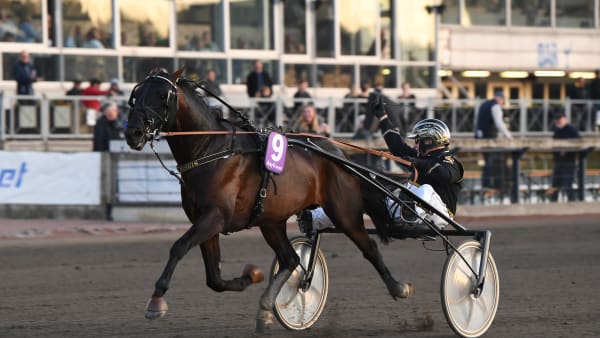 Foto: MALIN ALBINSSON / TR BILD