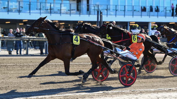 Foto: MALIN ALBINSSON / TR BILD