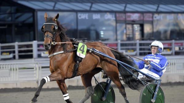 Foto: LARS JAKOBSSON / TR BILD