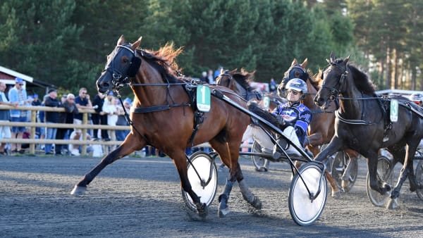 Foto: MALIN ALBINSSON / TR BILD