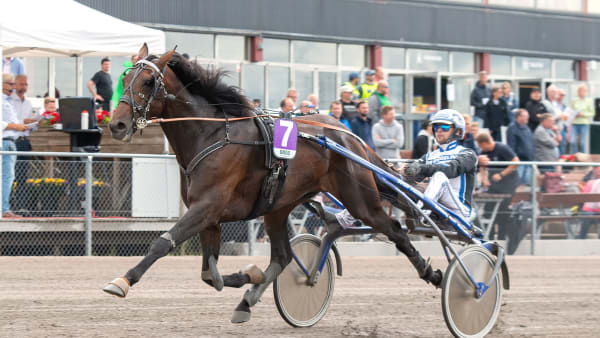 Foto: MIKAEL ROSENQUIST / TR BILD