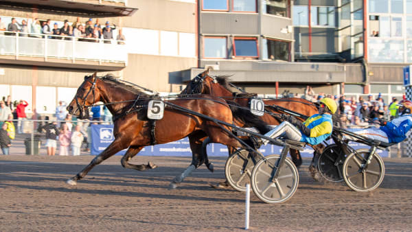 Foto: MIKAEL ROSENQUIST / TR BILD