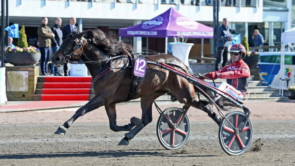 Foto: MALIN ALBINSSON / TR BILD