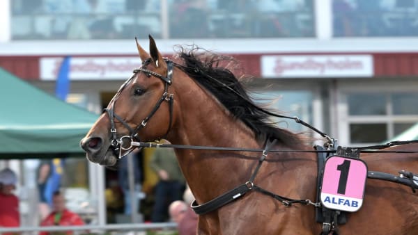 Foto: LARS JAKOBSSON/TR BILD