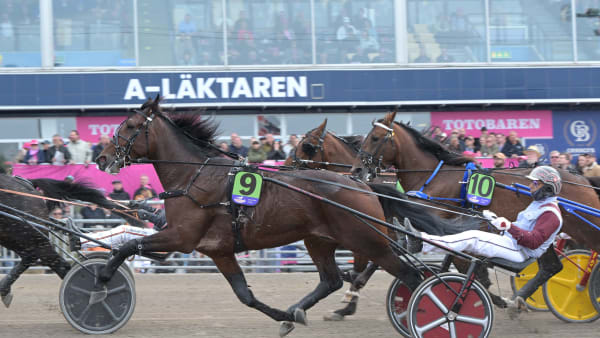 Foto: LARS JAKOBSSON / TR BILD