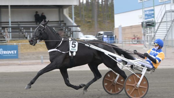 Foto: LARS JAKOBSSON / TR BILD