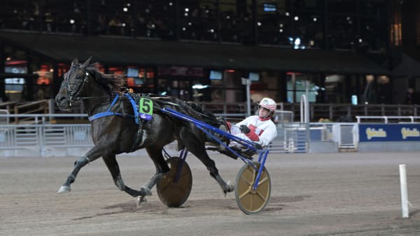 Foto: LARS JAKOBSSON / TR BILD