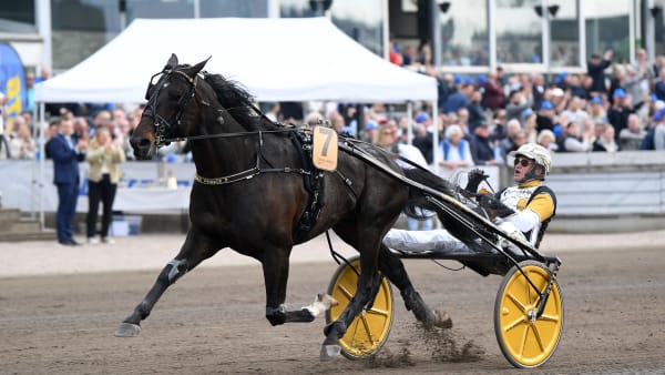 Foto: MALIN ALBINSSON/TR BILD