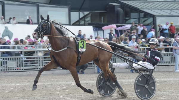 Foto: LARS JAKOBSSON / TR BILD