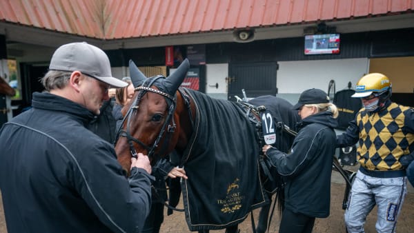 Foto: THOMAS BLOMQVIST / TR BILD