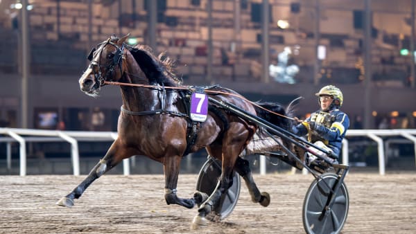 Foto: MIKAEL ROSENQUIST / TR BILD