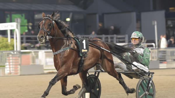 Foto: LARS JAKOBSSON / TR BILD