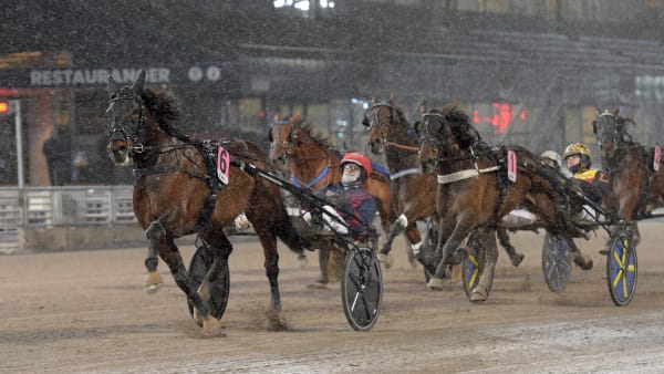 Foto: LARS JAKOBSSON / TR BILD