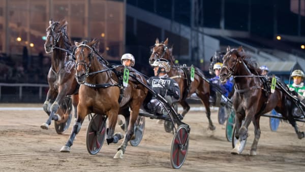 Foto: MIKAEL ROSENQUIST / TR BILD