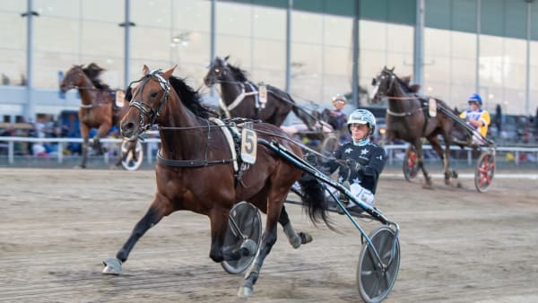 Foto: MIKAEL ROSENQUIST / TR BILD