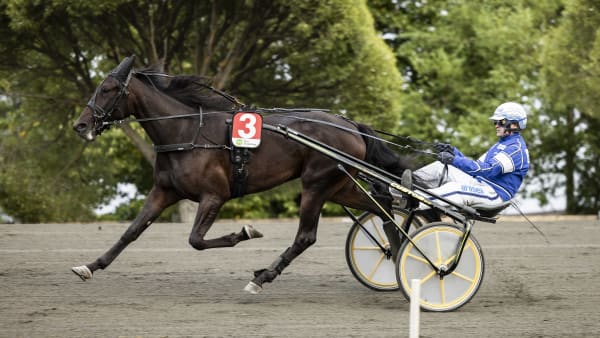 Foto: LENA EMMOTH / TR BILD