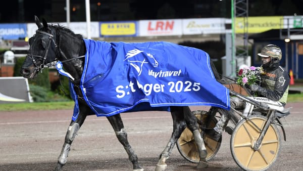 Foto: MALIN ALBINSSON / TR BILD