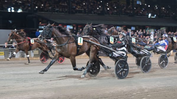 Foto: LARS JAKOBSSON / TR BILD