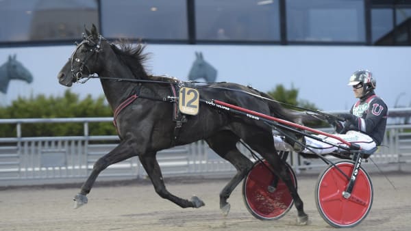 Foto: LARS JAKOBSSON / TR BILD