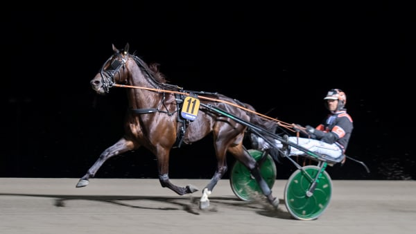 Foto: MIKAEL ROSENQUIST / TR BILD