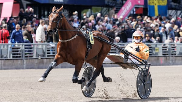 Foto: LENA EMMOTH / TR BILD
