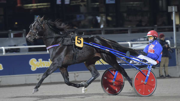 Foto: LARS JAKOBSSON / TR BILD