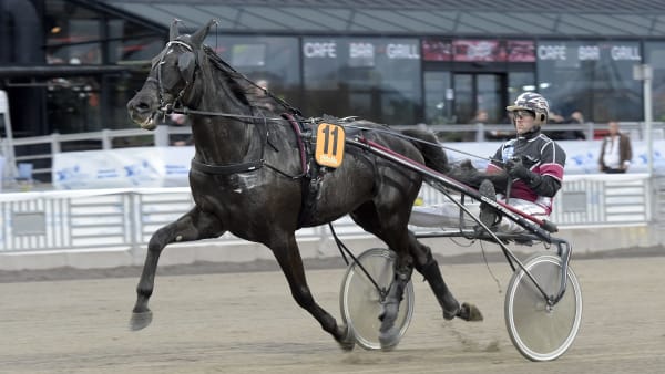 Foto: LARS JAKOBSSON / TR BILD