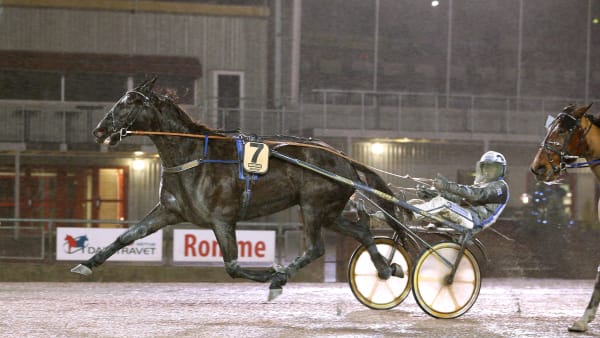 Foto: MARIA HOLMÉN / TR BILD