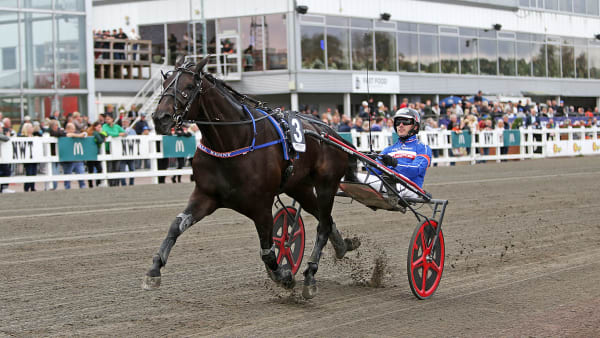 Foto: MATILDA ÖHRMAN / TR BILD