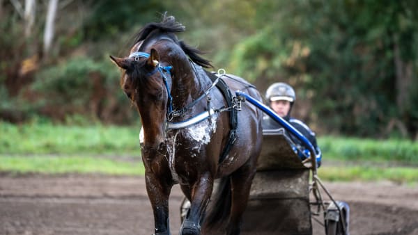 Foto: THOMAS BLOMQVIST / TR BILD