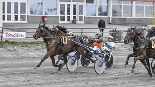 Foto: JENNY REHNMAN / TR BILD