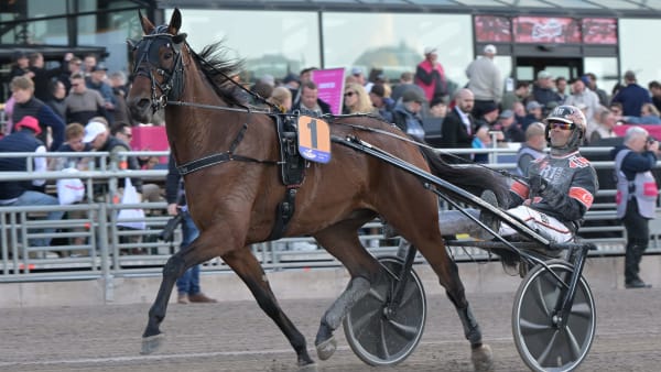 Foto: LARS JAKOBSSON / TR BILD