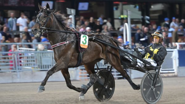 Foto: LARS JAKOBSSON / TR BILD
