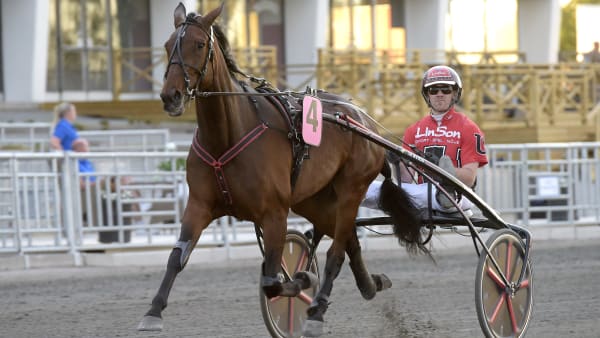 Foto: LARS JAKOBSSON / TR BILD