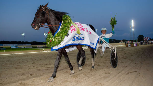 Foto: MIKAEL ROSENQUIST / TR BILD