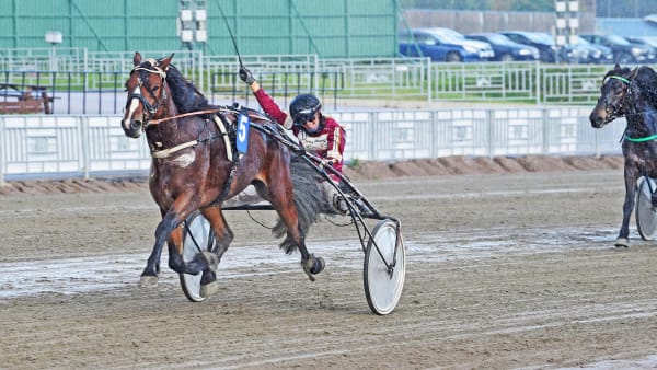 Foto: CHRISTER NORIN/ALN