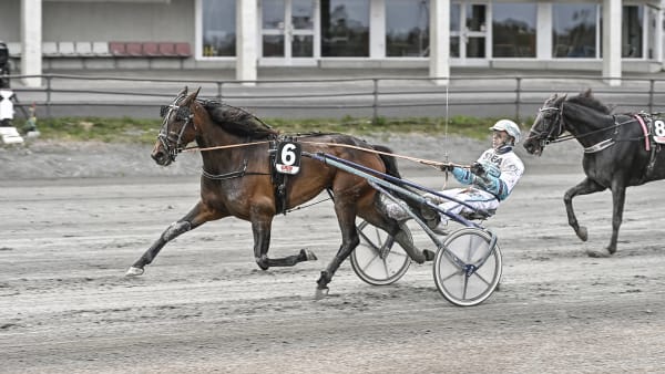 Foto: JENNY REHNMAN / TR BILD