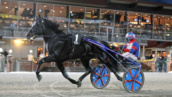 Foto: MARIA HOLMÉN / TR BILD