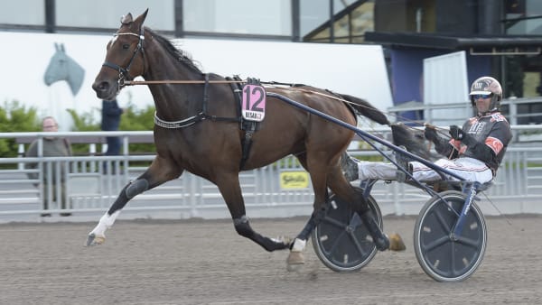 Foto: LARS JAKOBSSON / TR BILD
