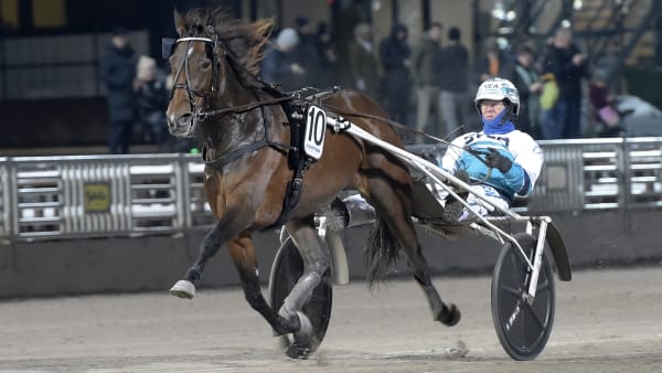 Foto: LARS JAKOBSSON / TR BILD