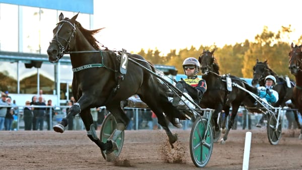 Foto: MARIA HOLMÉN / TR BILD