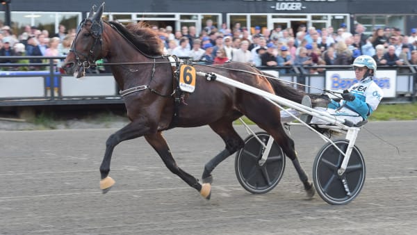 Foto: LARS JAKOBSSON / TR BILD