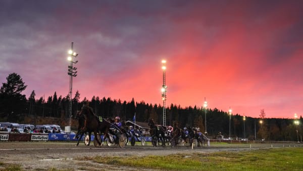 Foto: OLA WESTERBERG / TR BILD