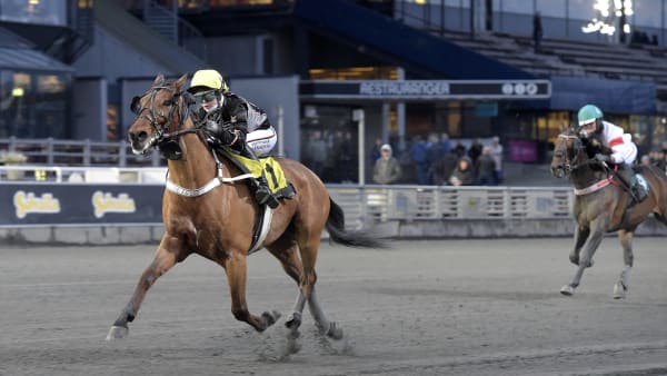 Foto: LARS JAKOBSSON / TR BILD