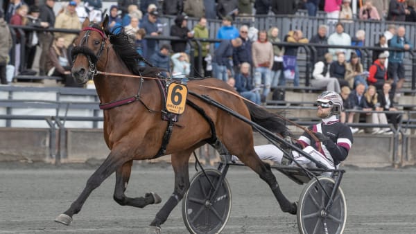 Foto: ANDERS KONGSRUD/HESTEGUIDEN