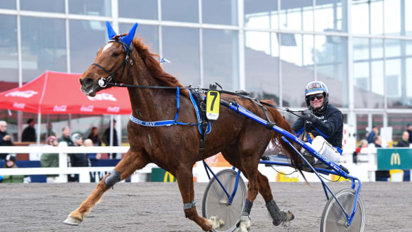 Foto: MALIN ALBINSSON / TR BILD