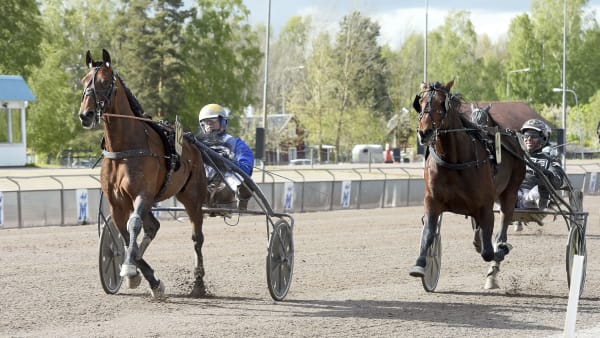 Foto: LARS JAKOBSSON / TR BILD